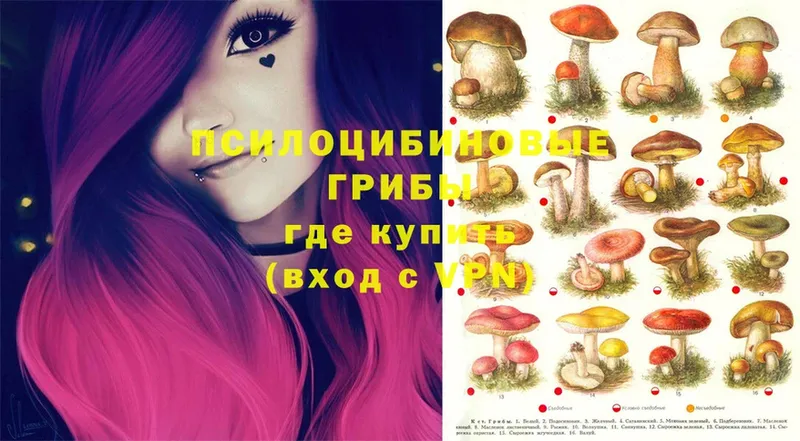 Псилоцибиновые грибы MAGIC MUSHROOMS  Буйнакск 